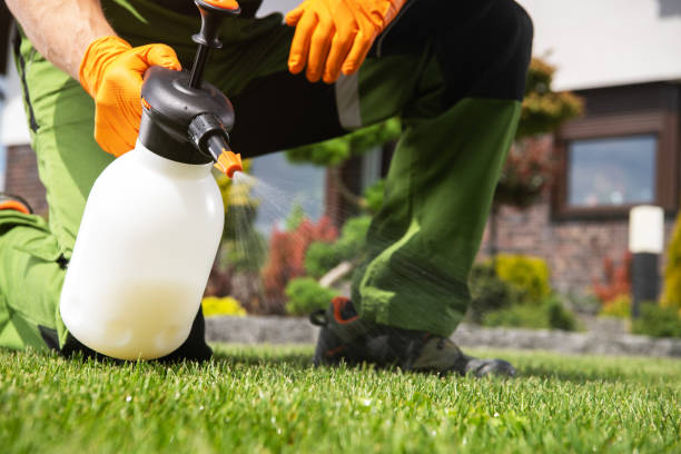 Best Affordable Pest Control Services  in Hilton, NY