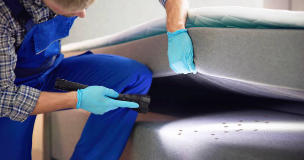  Hilton, NY Pest Control Pros