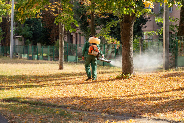 Best Cockroach Control Services  in Hilton, NY