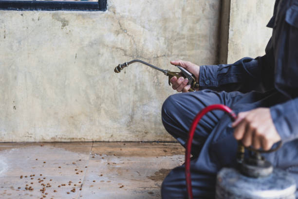 Best Residential Pest Control  in Hilton, NY